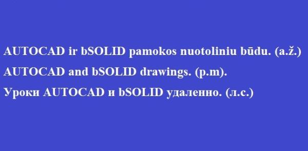 AUTOCAD konsultacijos, atvykstu į vietą arba konsultuoju nuotoliniu būdų 861473089-1