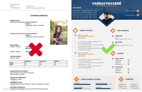 CV šablonai, redagavimo ir vertinimo paslaugos-1
