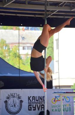Pole dance pasirodymai (sokiai ant stulpo)-1