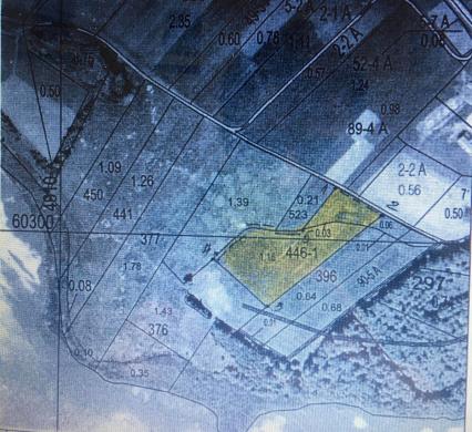 1,19ha sklypas šalia Alytaus, Aniškio k.-1