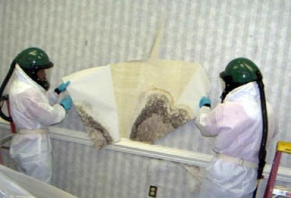 Ekologinių pažeidimų patalpose tyrimai-1