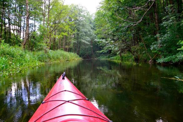 Baidarių Nuoma Dzūkijoje. Plauk Baltąja Ančia-1