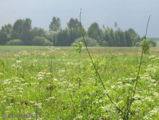 Lobiniai sklypas Lobiniuose-1