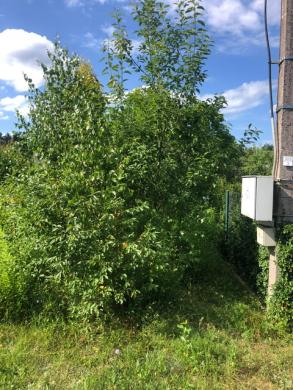 Parduodama žemė sodu bendrija-1
