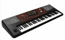 Electric Korg Pa 700-1