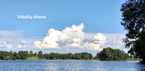 Parduodamas sklypas 30 arų prie Vabalių Ežero Alytaus raj.-1
