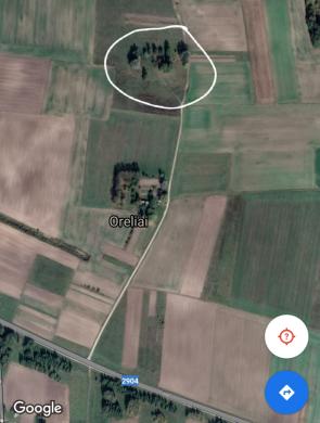 Parduodamas vienkiemis su 26 arais žemės-1