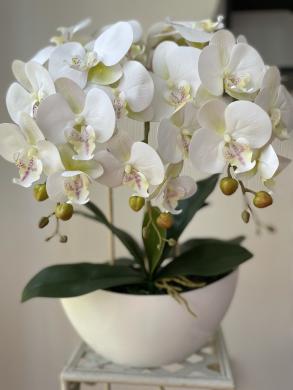 Dirbtinė orchidėja-1