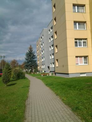 Parduodu 4k. butą Akmenės m.-1