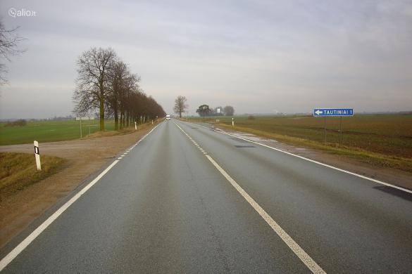 50 ARU SKLYPE 5 SKLYPAI PRIE MISKO SODYBOMS SODAMS KITAI VEIKLAI-1