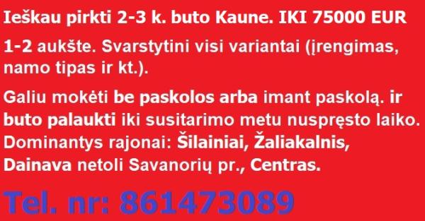 PIRKČIAU BUTĄ KAUNE 861473089-1