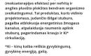 Seragem masažinė lova-1