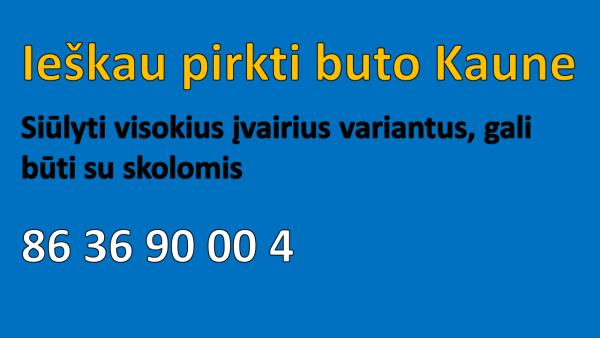 Ieškau butu, namų pirkti-1