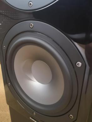 Trijų krypčių garso kolonėlė, max. 300 W-1