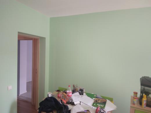 Ieskau darbo glaistituojo, dazytuojo-1