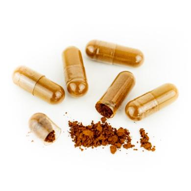 Augalinis maisto papildas Chaga Grybo (Inonotus obliquus) koncentratas, 60 vnt.-1