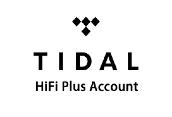 YOUTUBE/NETFLIX/TIDAL NARYSTĖS PIGIAU-1