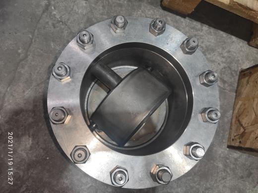 Titanium check valve 19тн14бк Dn 200 Pn у 10-1