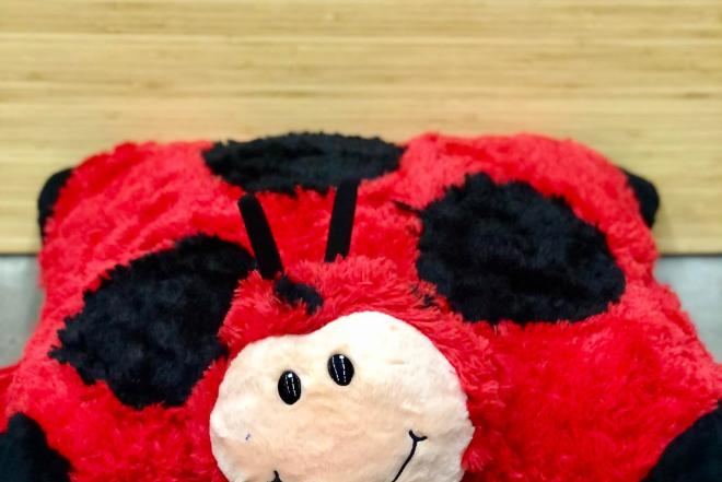 Pagalvė boružėlė-0