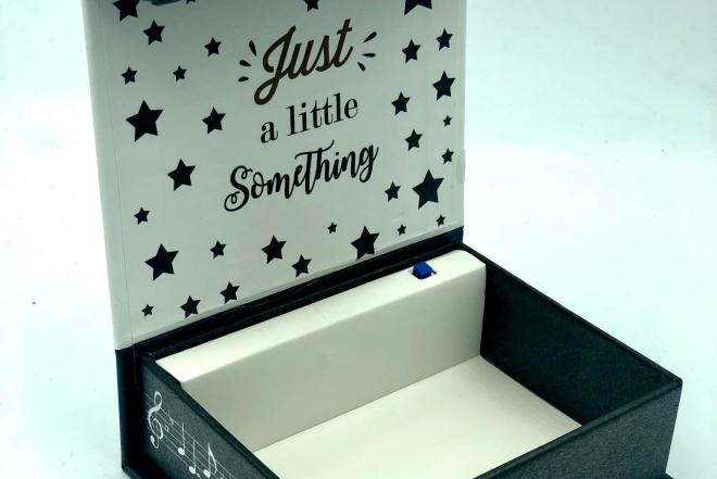 Grojanti dėžutė-0