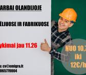 IEŠKOME DARBUOTOJŲ DARBUI OLANDIJOJE-0