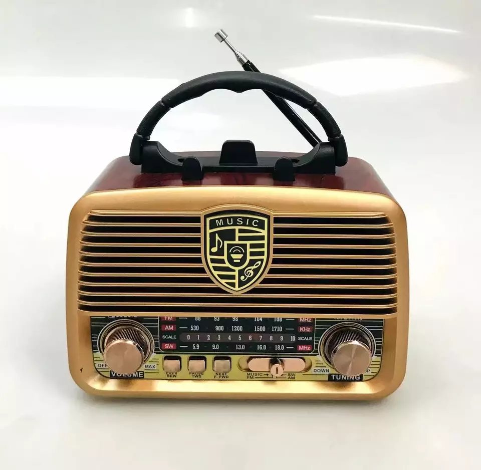 RX-BT1110 nešiojamas namų radijas-0