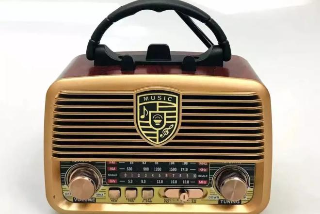 RX-BT1110 nešiojamas namų radijas-0