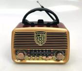 RX-BT1110 nešiojamas namų radijas-0