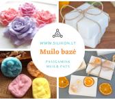 Muilo bazė-0