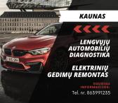 Lengvųjų automobilių diagnostika, elektrinių gedimų remontas-0