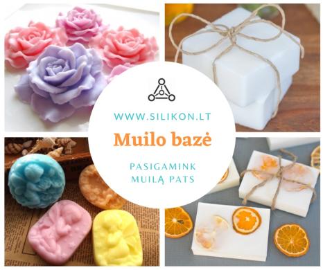 Muilo bazė-0