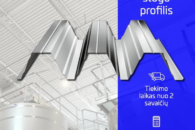 DAUGIASLUOKSNĖS PLOKŠTĖS IR PROF. PLIENŲ LAKŠTAI-0