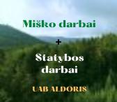 Miško darbai ir statybų paslaugos-0