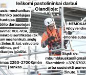 Pastolių montuotojai darbui Olandijoje-0