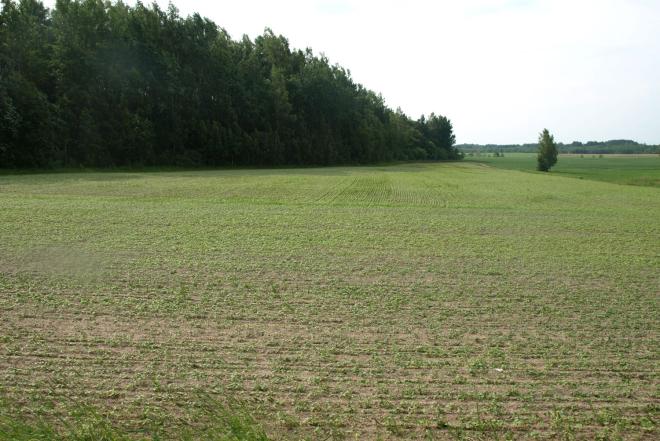 GRETA MOTIEJŪNŲ TVENKINIO PARDUODAMAS 34.31 A. NAMŲ VALDOS SKLYPAS ŠIRVINTŲ RAJ., NEČIONIŲ K.-0