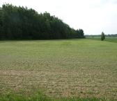 GRETA MOTIEJŪNŲ TVENKINIO PARDUODAMAS 34.31 A. NAMŲ VALDOS SKLYPAS ŠIRVINTŲ RAJ., NEČIONIŲ K.-0