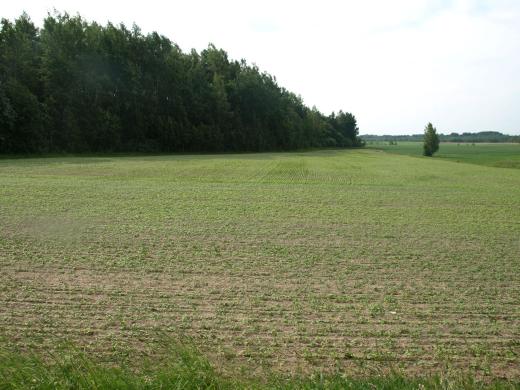 GRETA MOTIEJŪNŲ TVENKINIO PARDUODAMAS 34.31 A. NAMŲ VALDOS SKLYPAS ŠIRVINTŲ RAJ., NEČIONIŲ K.-0