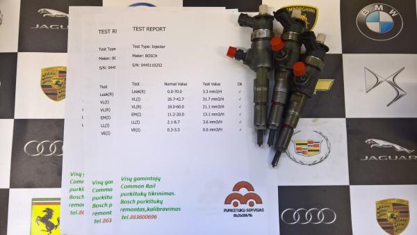 Kuro purkštukai Citroen-Nemo 1.4d. 0445110252-0