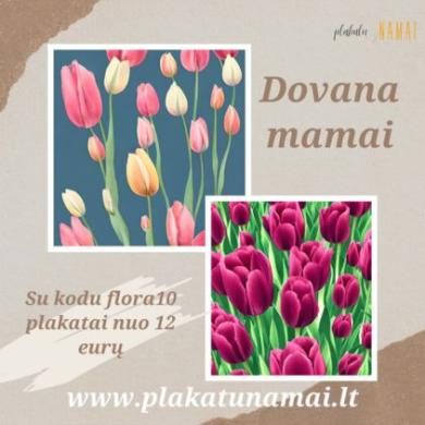 Plakatunamai.lt - dovana mamai nuo 12 eurų-0
