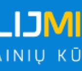 Wordpress svetainių kūrimas Vilniuje ir priežiūra-0