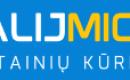 Wordpress svetainių kūrimas Vilniuje ir priežiūra-2