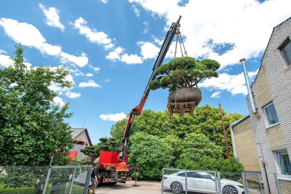 Transporto paslaugos- Krovinių pervežimas, fiskaro nuoma, sunkvežimių nuoma-0