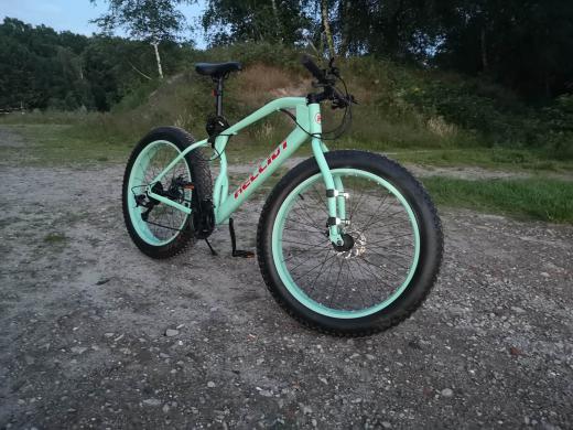 Fat bike-0