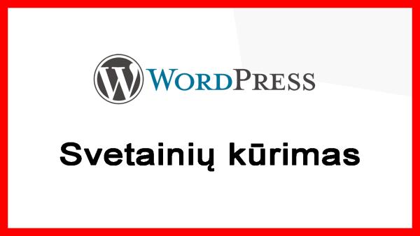 Wordpress svetainių kūrimas - verslasmedia.lt-0