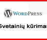 Wordpress svetainių kūrimas - verslasmedia.lt-0