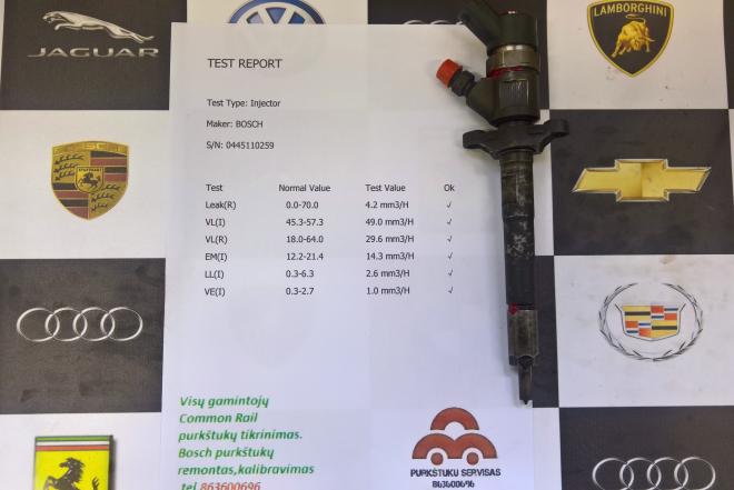 Kuro purkštukas Citroen -C3-0