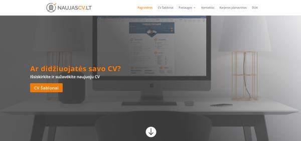 CV šablonai, redagavimo ir vertinimo paslaugos-2