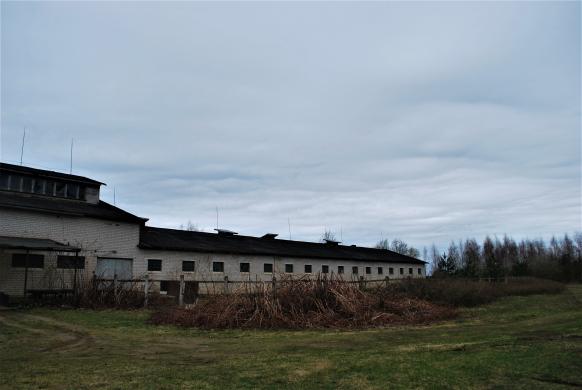 Žirgynas Jonavos rajone-2
