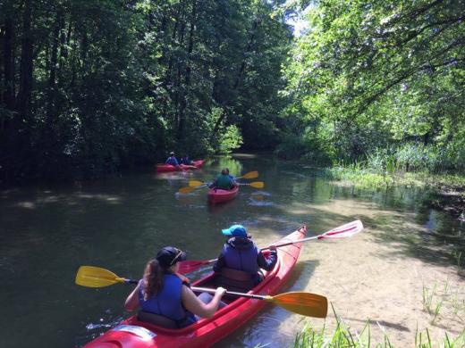 Baidarių Nuoma Dzūkijoje. Plauk Baltąja Ančia-2