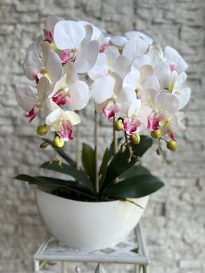 Dirbtinė orchidėja-2